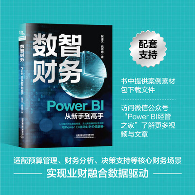 【正版包邮】数智财务--Power BI从新手到高手 PowerQuery PowerBI数据建模逻辑与DAX函数应用 数智财务核心要素数据分析商业智能