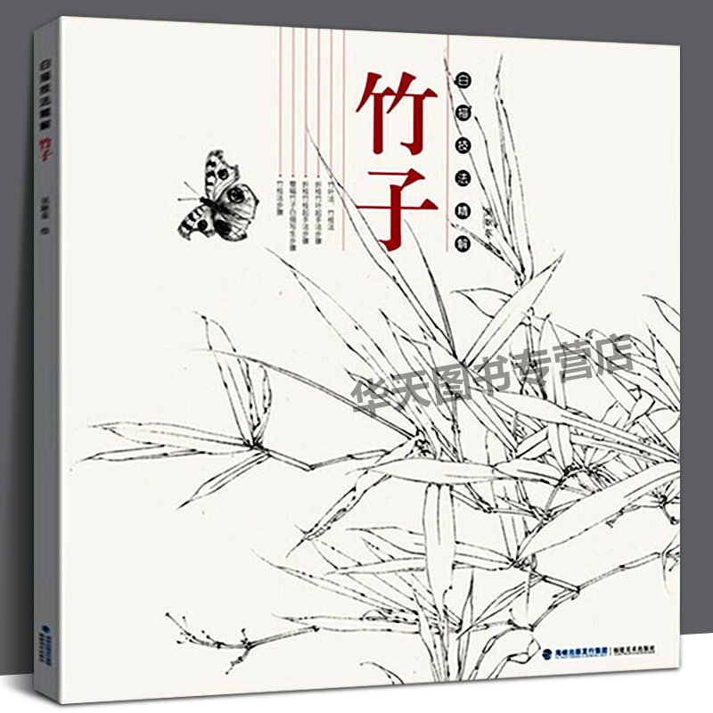 竹子 白描技法精解 中国画花卉白描工笔画技法 白描勾线底稿画谱绘画