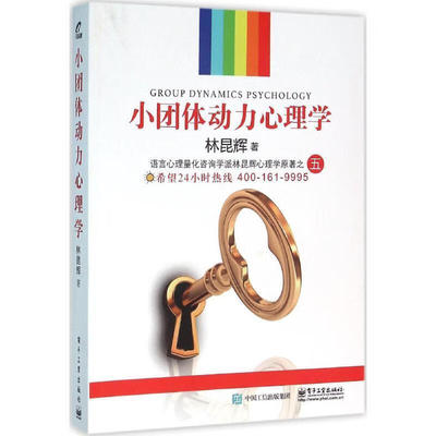 小团体动力心理学 林昆辉 心理学原著之五 实用版 心理学入门基础书籍 领导力团队管理 社会大众发展心理学导论自学书