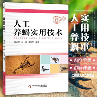 【正版包邮】高效养蝎子 科学办好蝎子养殖场 养蝎子技巧 高效养蝎子书籍 蝎子养殖技术大全书籍 养蝎书籍 蝎子治病与防治技术