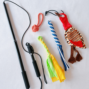 伸缩杆逗狗棒训犬棒耐咬宠物猫狗玩具逗猫棒可替换头球小中大型犬