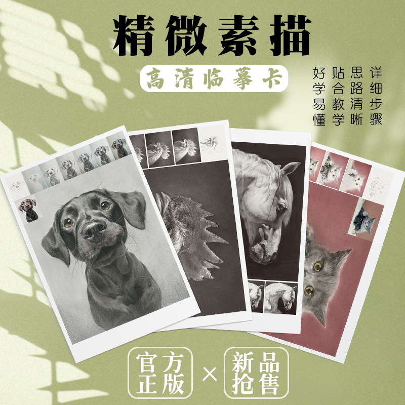 精微素描书入门教材30张60组色彩结构人物动物几何体素描基础美术绘画创意临摹画册步骤详解高清印刷卡片 拆封不退