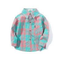 Зеленый розовый зеленый C10