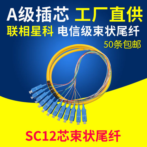 12芯束状尾纤SCFCLCST