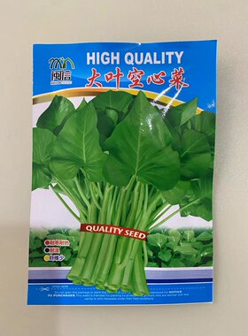 大叶空心菜种子圆叶四季菜苗菜籽
