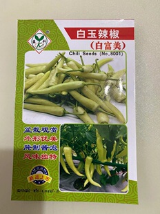 白玉辣椒种子超辣小辣椒泡椒小米椒白辣椒春秋四季盆栽蔬菜种孑籽