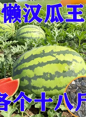 懒汉瓜王西瓜种子巨型有籽甜王种籽春季四季水果蔬菜种孑四季盆栽