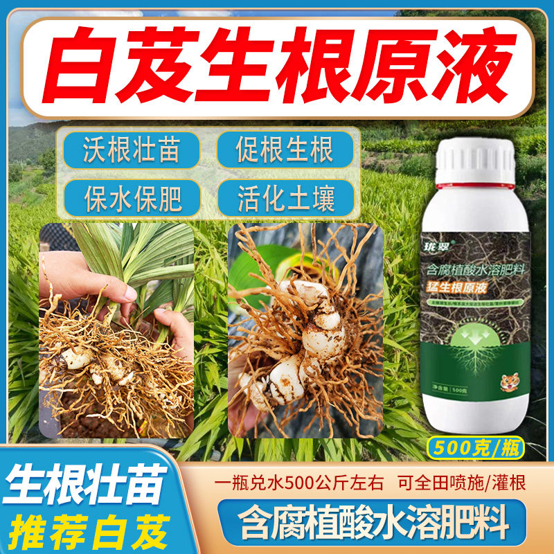 白芨生根原液生根液壮苗剂蔬菜农用生根插花枝条腐殖酸肥料增收