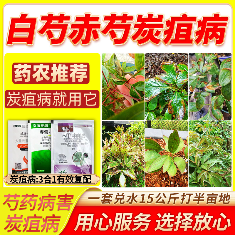 白芍赤芍叶枯炭疽病杀菌剂预防黄精白芨药材叶枯病炭疽病安全农用