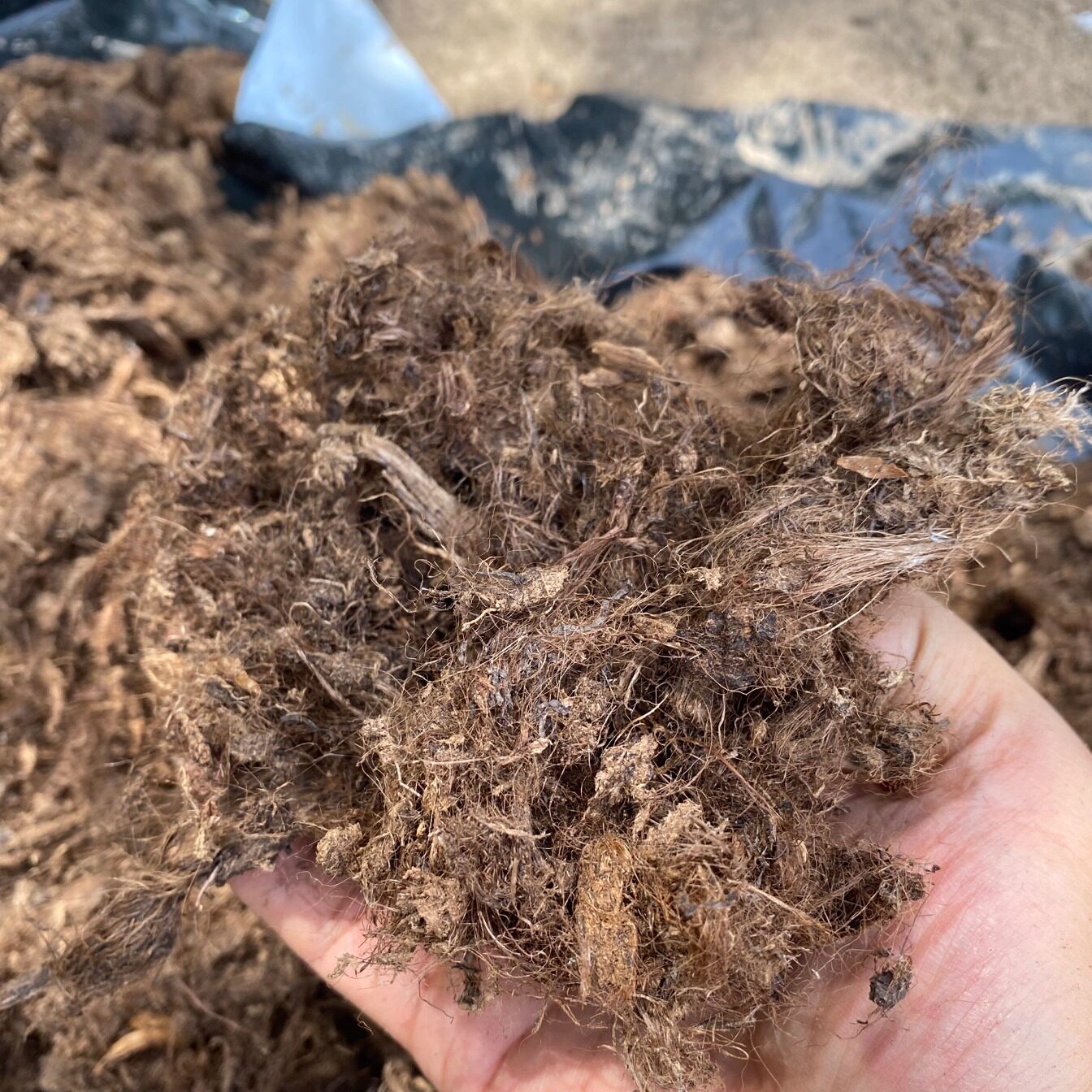 进口泥炭纤维疏松透气保湿防晒花盆铺面兰花蝴蝶兰植料植物纤维