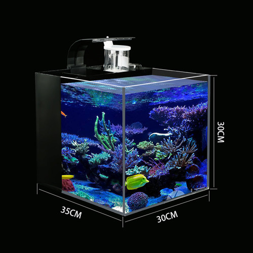 专业海水缸价格 专业海水缸图片 星期三