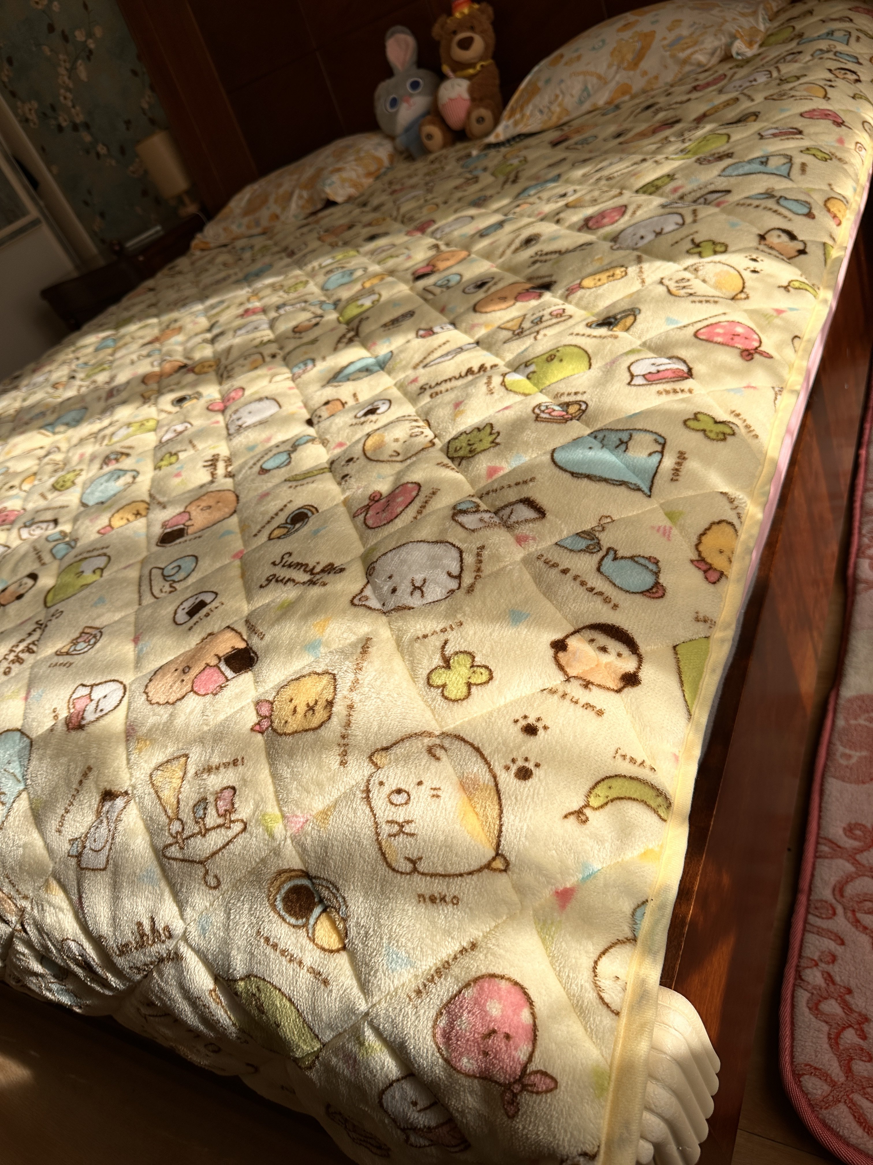 外贸新款大号床盖角落生物玩总卡通家用床品床单两用可机洗不掉毛