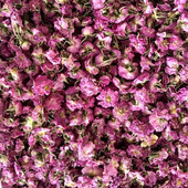 大马士革玫瑰浓缩精华膏500克超临界co2提取