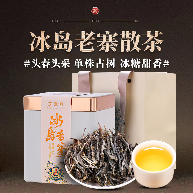 定采单株古树 冰岛核心茶区