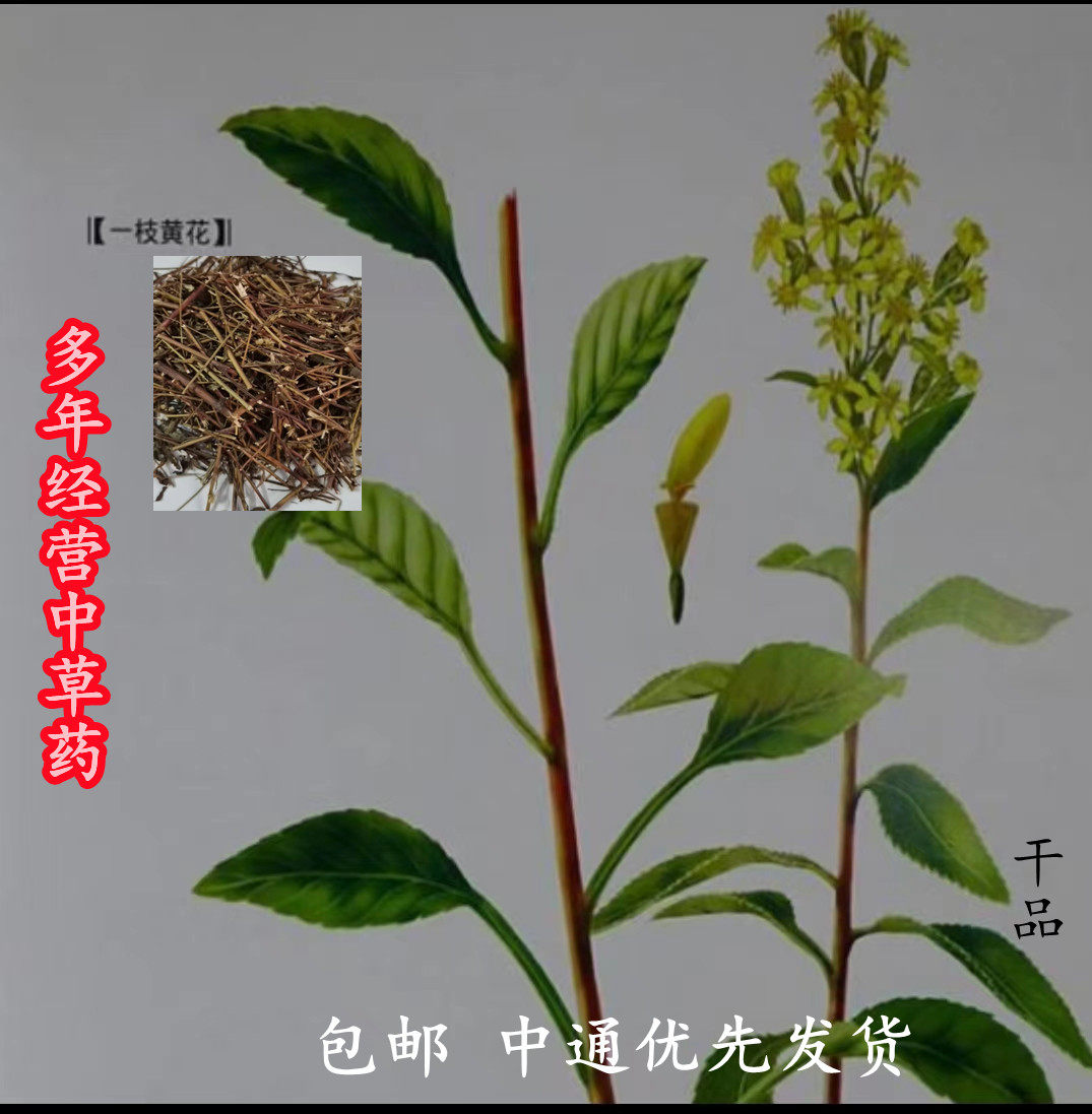 吉祥源中药材青草根店 y生 一枝黄花山厚合金花草 百草根半斤包邮