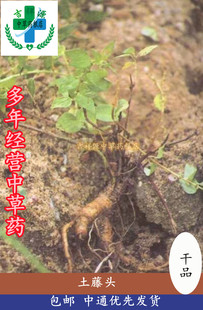 吉祥源野生土藤头涂藤头白碎玉白花鸡屎藤狗头藤牛白藤猪肠根1斤