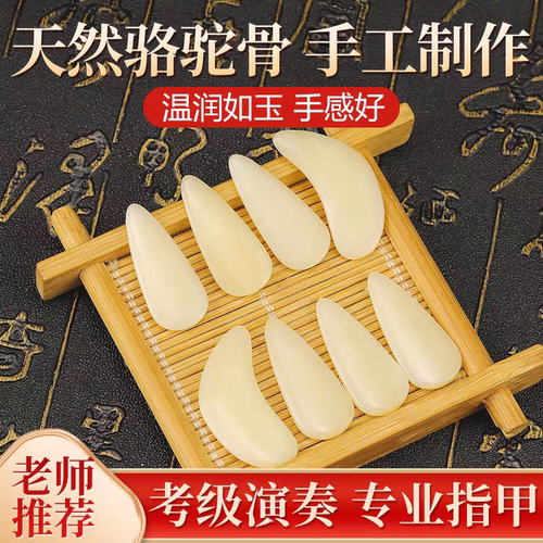 天然骆驼骨演奏级古筝指甲