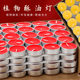 8小时酥油灯家用拜神蜡烛供佛红色小蜡烛批发佛堂长明灯无烟