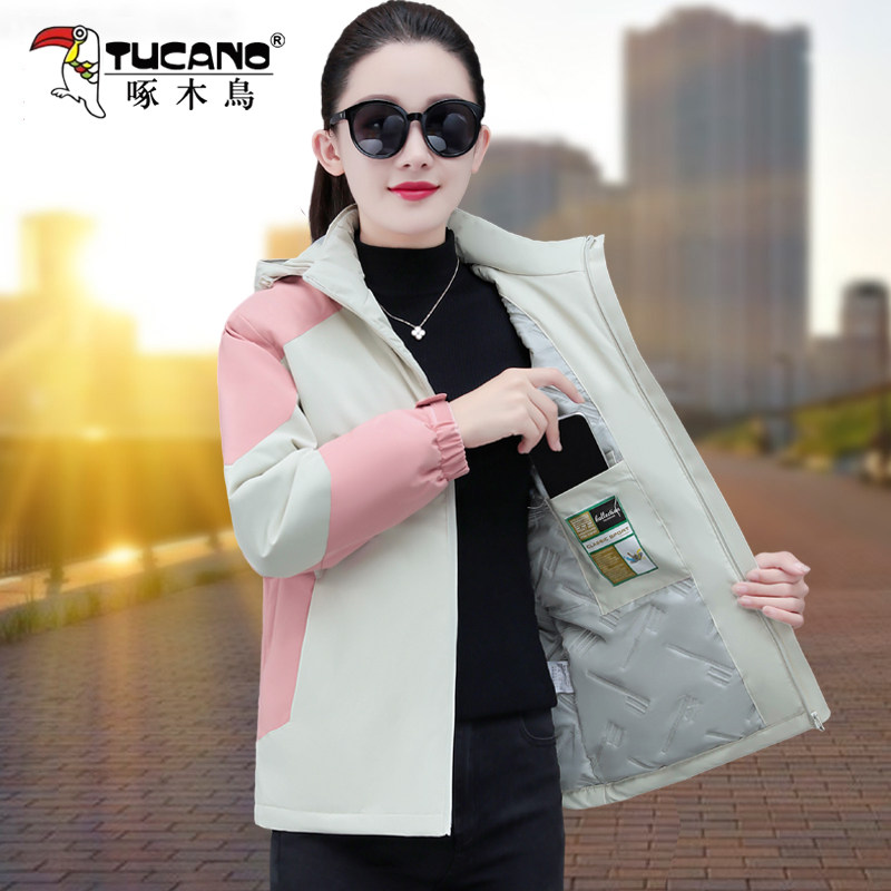 啄木鸟棉短款韩版棉服