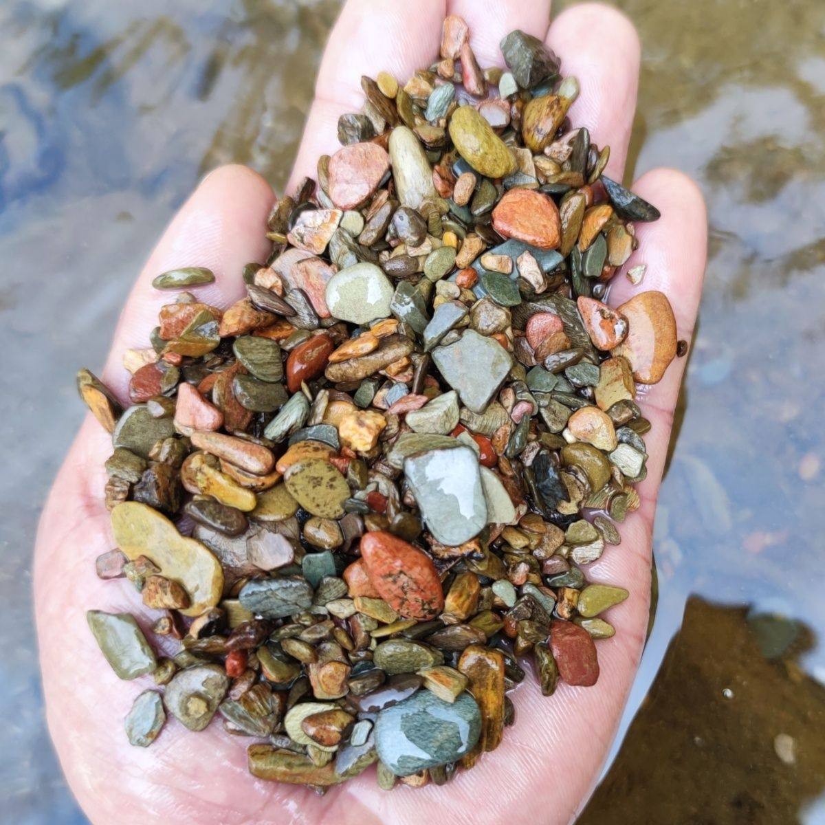 天然溪流沙乌龟小鱼雷龙虾虎鱼草缸水族箱原生态造景装饰底溪流沙