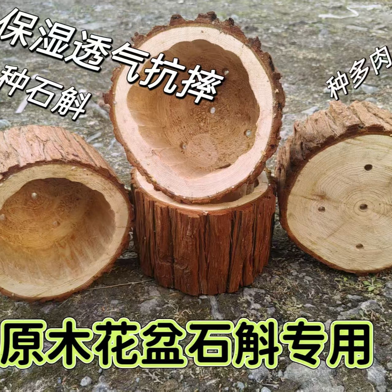原木头实木多肉植物盆栽创意花盆盆景盆huapen铁皮石斛种植