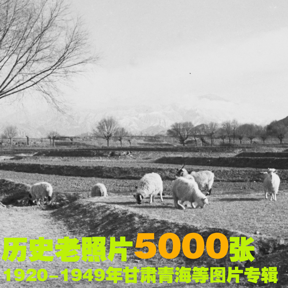 [摄影集 图集]民国甘肃青海等西北地区人文建筑黑白老照片素材