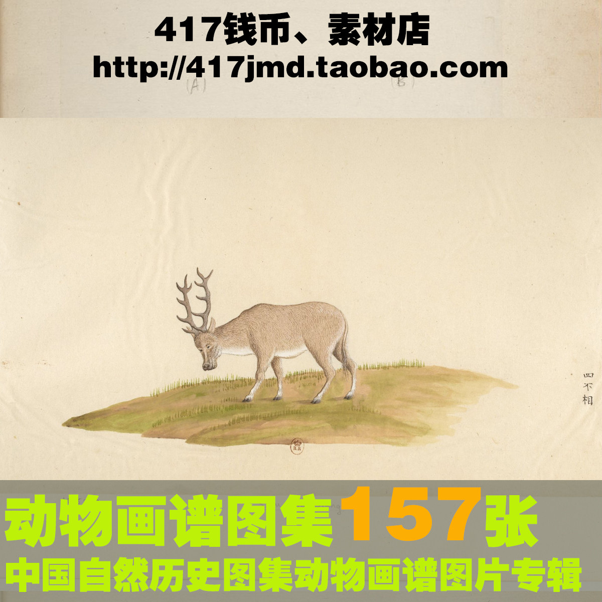 [古早图 图谱]老旧复古手绘中国自然历史绘画动物图谱图片素材