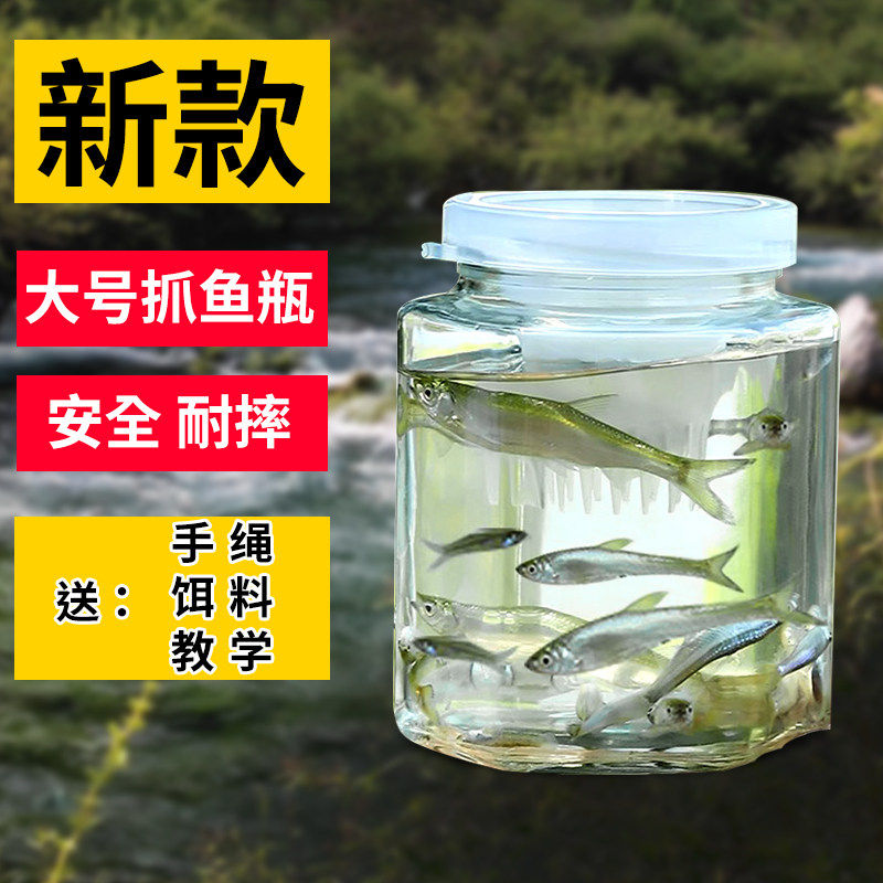 捕工具儿童抓小鱼神器玩具捞鱼捞虾网虾笼捕鱼笼捕虾笼晒鱼养殖,户外/登山/野营/旅行用品,鱼网/虾笼/其它渔具,淘宝优惠券,粉丝福利购,淘宝优惠卷