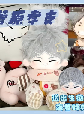 排球少年菅原孝支20cm棉花娃娃suga属性可爱毛绒公仔摆件换装娃娃