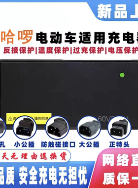 适配哈喽电动车充电器48V12AH48V20AH60V20AH棒途志训电动车通用