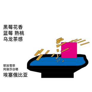 耶加雪菲浅烘手冲咖啡豆100g 多风味 Back系列 埃塞俄比亚