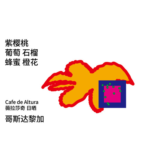 治光师哥斯达黎加咖啡豆