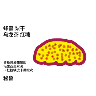 T系列 秘鲁普基奥潘帕庄园毛里西奥水洗卡杜拉铁皮卡