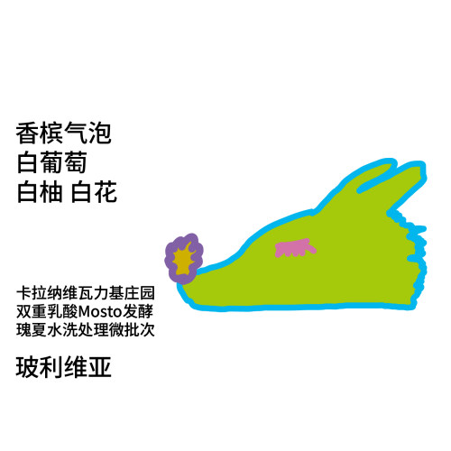 T系列玻利维亚卡拉纳维瓦力基庄园双重乳酸Mosto发酵瑰夏水洗处理