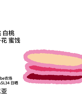 Back系列 肯尼亚 SL28&SL34日晒 杨桃|栀子花 手冲咖啡豆