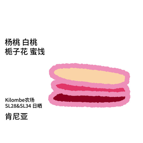 治光师肯尼亚日晒手冲豆