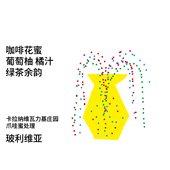 绿茶 T系列 橘汁 葡萄柚 JAVA蜜处理手冲冷萃咖啡豆100g 玻利维亚