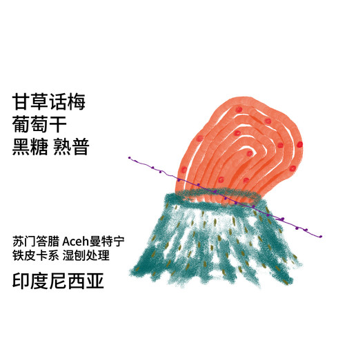 印尼苏门答腊Aceh曼特宁手冲豆