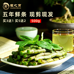 正宗霍山5年 新鲜铁皮石斛鲜条枫斗500g药材礼盒装官方旗舰店正品