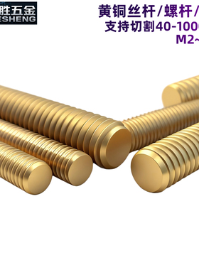 黄铜丝杆M2m2.5m3m4m5m6m8M10M1214M16M18M20厘长牙条螺杆50公分