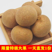 福建莆田百年老树新果特级大桂圆干 一天只发一份 手工挑选