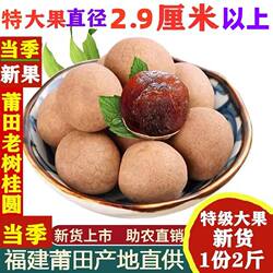 福建莆田农家特产当季新货桂圆干包邮老树特级新鲜小核大龙眼干