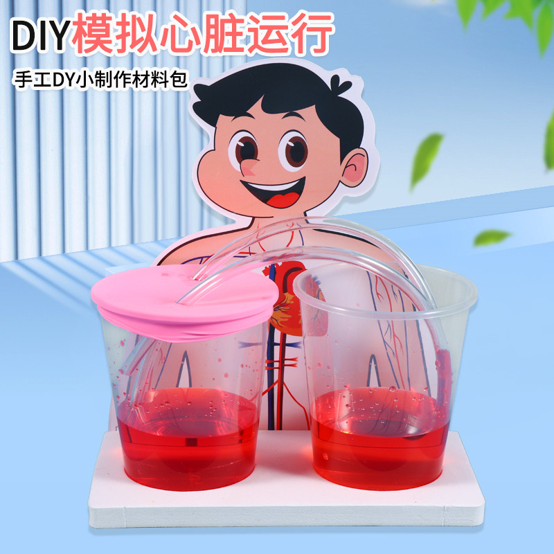 科技小制作diy模拟心脏运行学生物理科学实验器材血液循环材料包