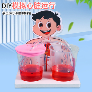 科技小制作diy模拟心脏运行学生物理科学实验器材血液循环材料包