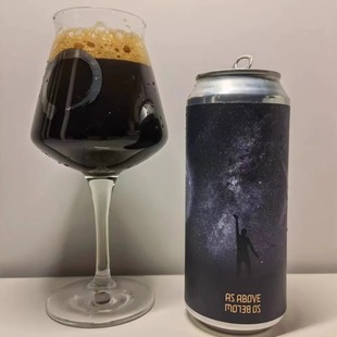 美国凡人印记斯莫吉事业阶梯帝国世涛果泥酸艾尔精酿啤酒355ml罐