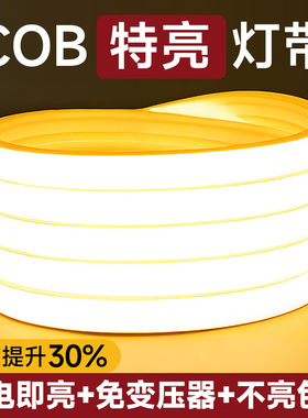 220v灯带led灯条插电即用新款客厅吊顶氛围超亮户外防水cob灯带条
