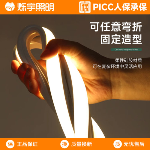 硅胶灯带活动促销-厂家直销冲量