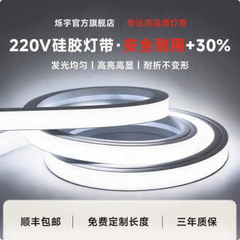 220V灯带/无需变压器/插电即亮