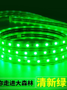 【清仓捡漏】led绿色灯带条220v户外防水公园绿植ktv霓虹室外亮化