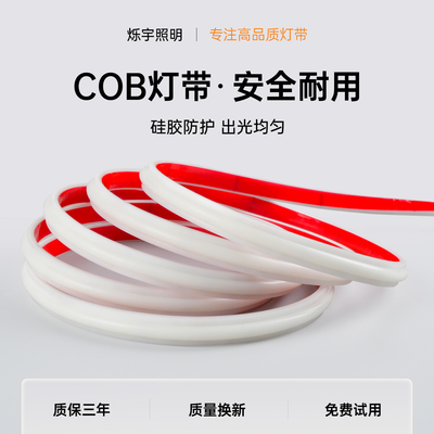 烁宇硅胶220v灯带防水超亮COB